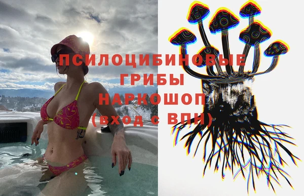 бутират Алексин