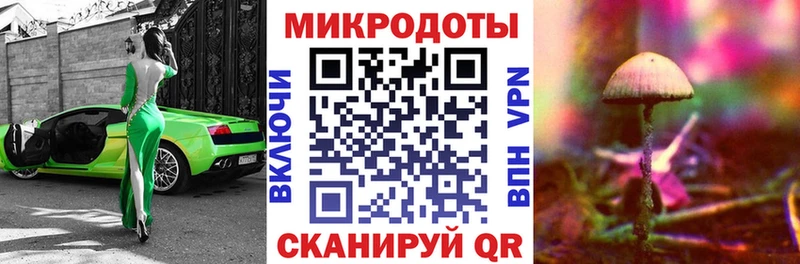 Галлюциногенные грибы прущие грибы  Солигалич 